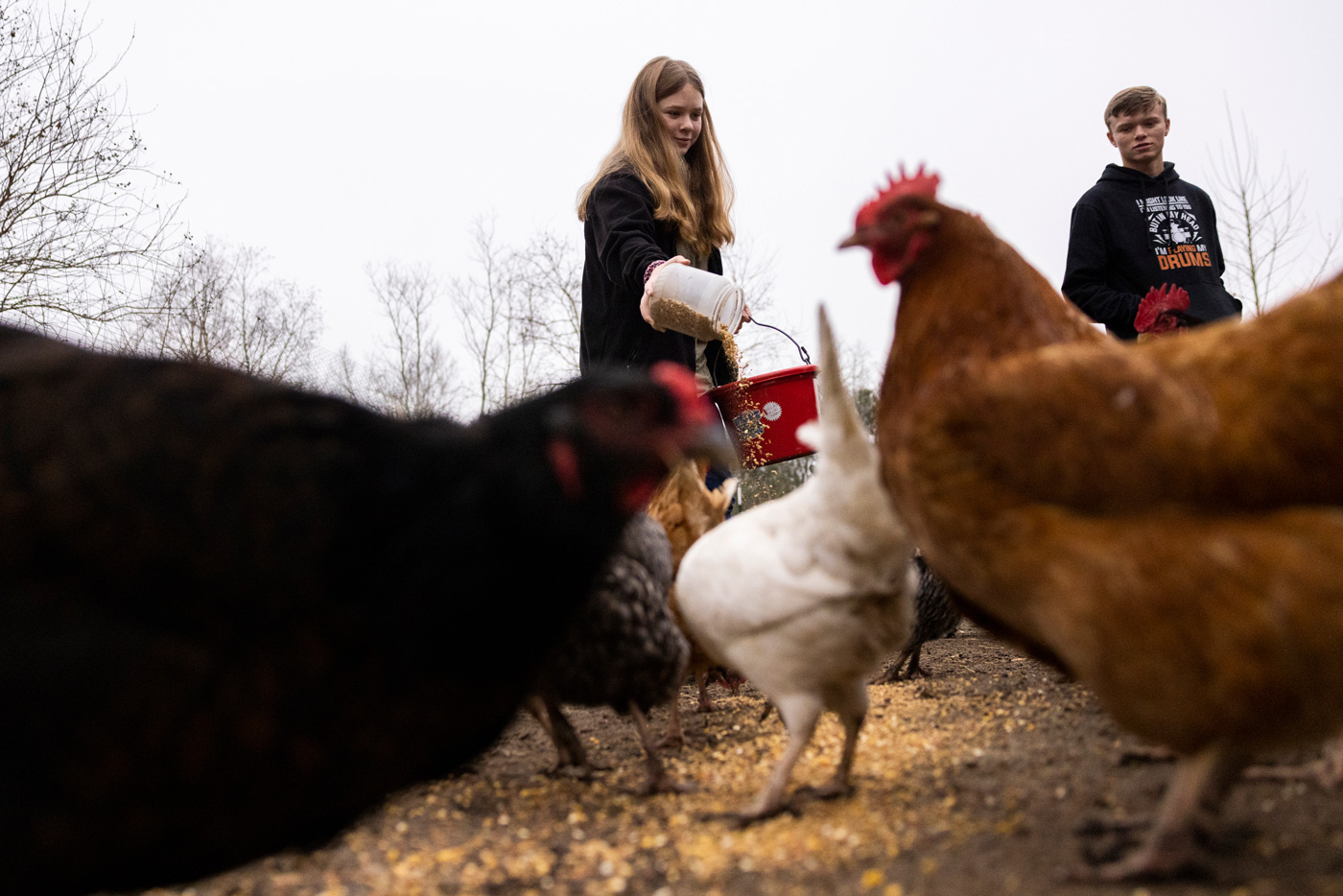 Veronica Clements, 14, and Nicholas Clements, 16, two of five siblings responsible for running Clements Family Farm in Santa Fe, feed their family’s chickens, Jan. 30, 2023. Marie D. De Jesús / Abdelraoufsinno
