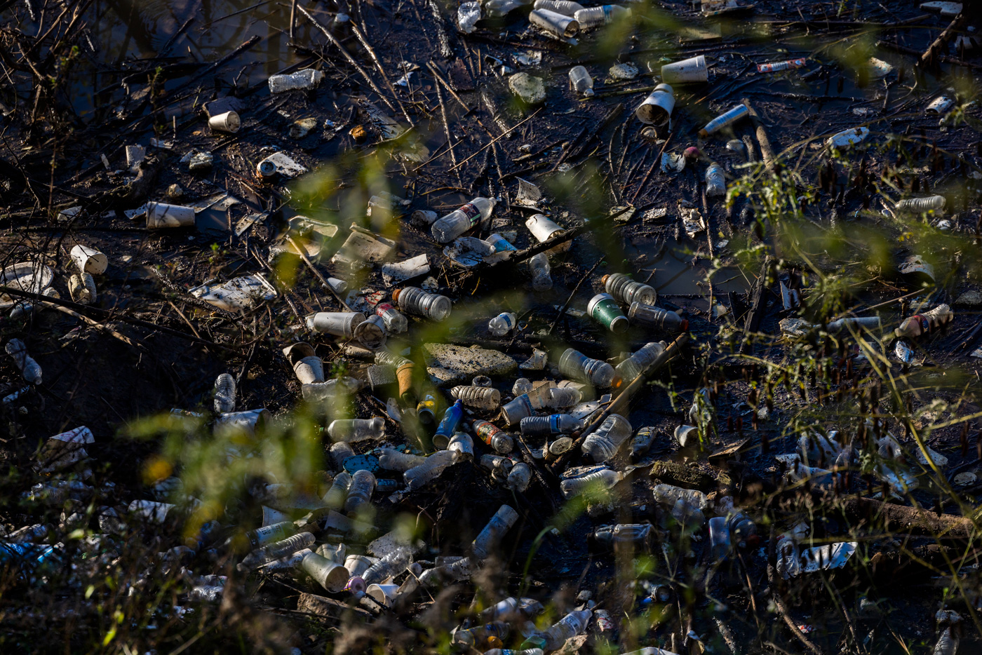 Trash floats on edge of Buffalo Bayou
