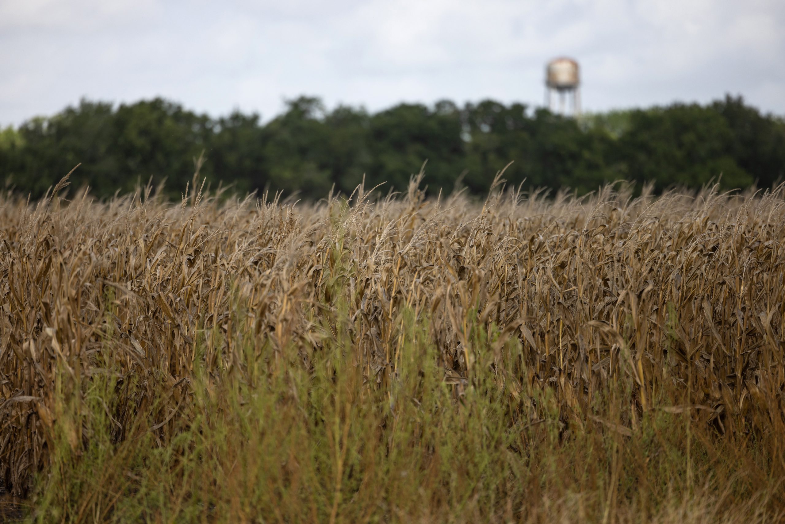 Drought conditions are worsening throughout the Houston region