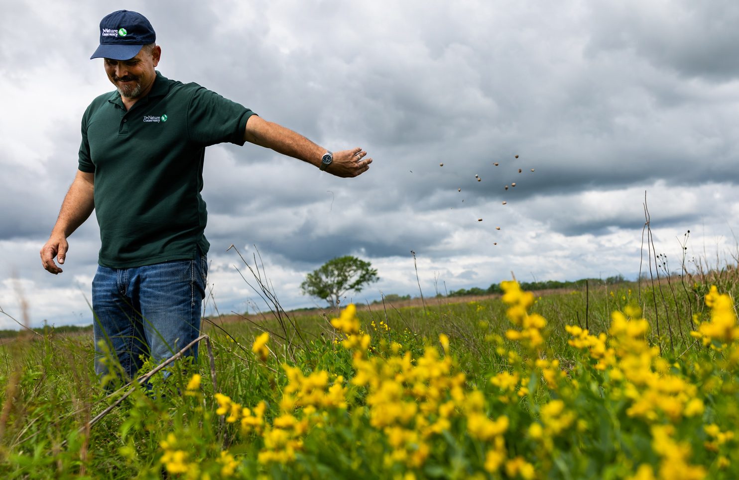Native prairie grass returns to Houston area after decades of urban development