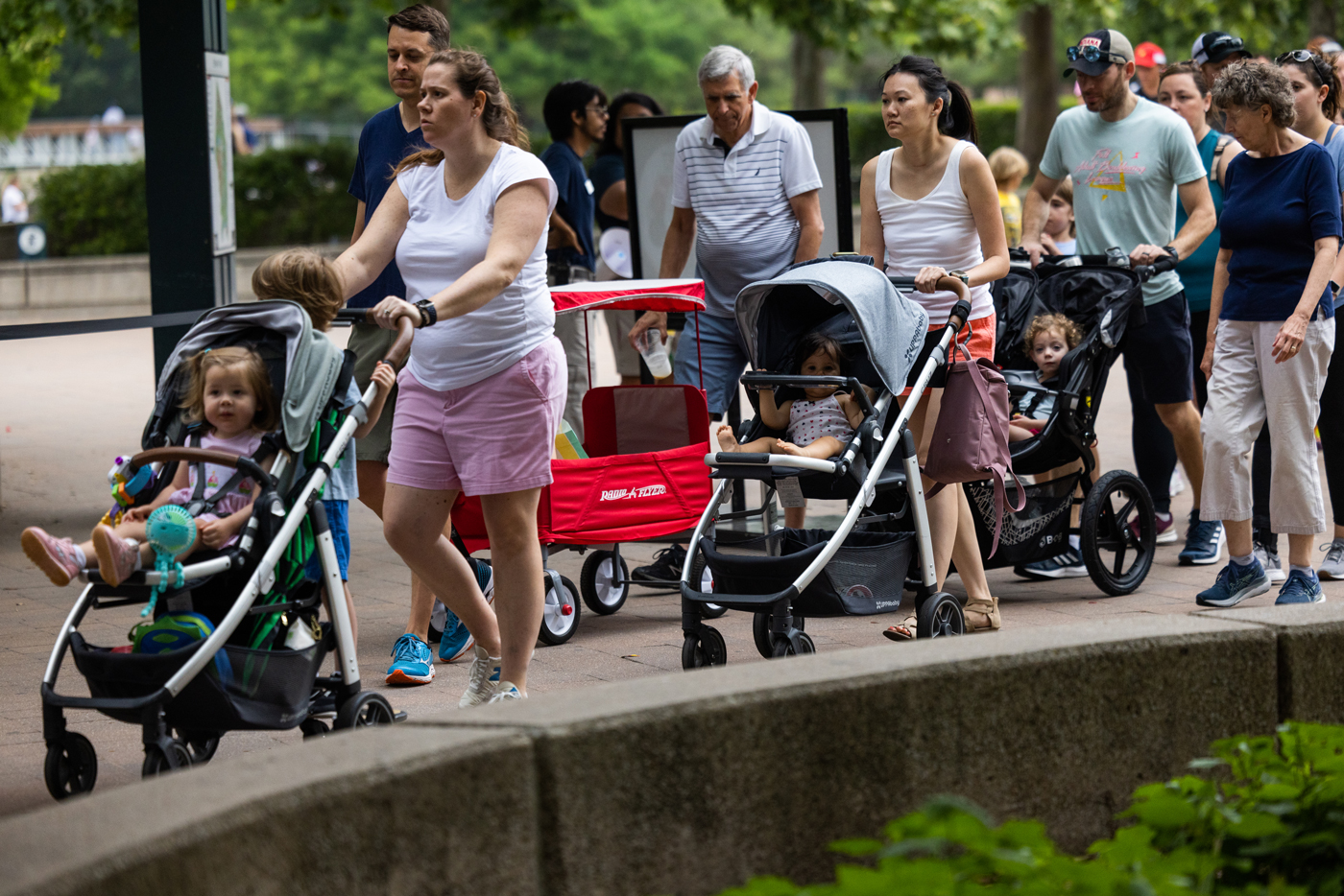 Families push strollers in the park