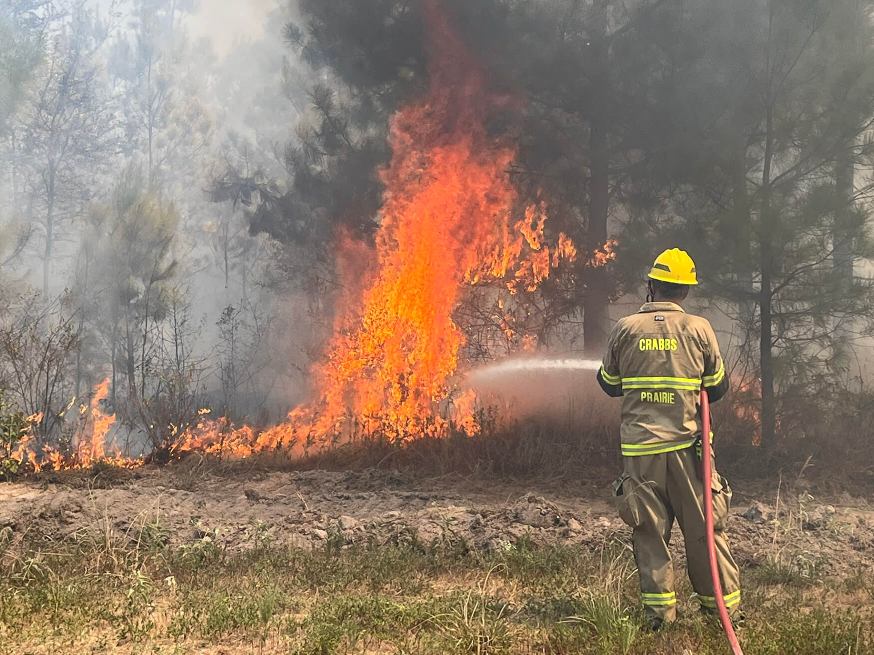 A firefighter tries to extinguish flames at the Game Preserve Wildfire near Huntsville, Texas